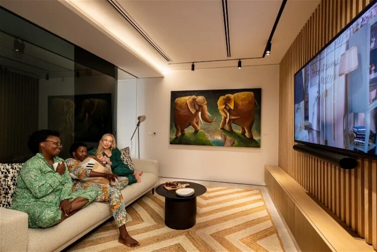 12 Apostel Villa Luxus Ferienhaus Kapstadt Mieten Tv Room