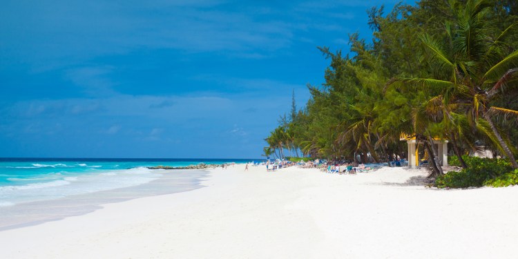 Online Reiseführer Barbados