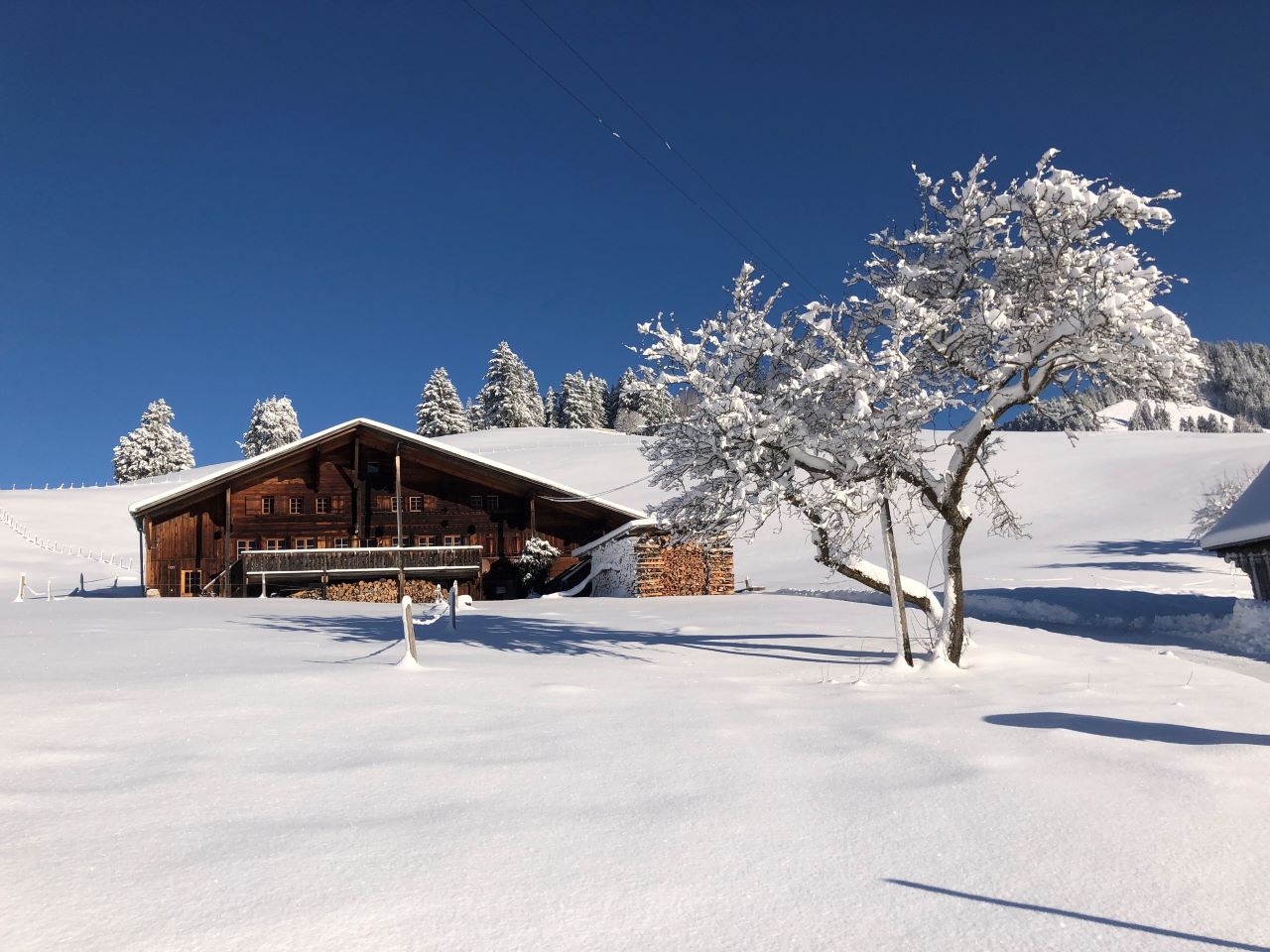 Cozy Club Chalet Exklusives Feriehaus Gstaad Schweiz Mieten Schnee Skifahren1
