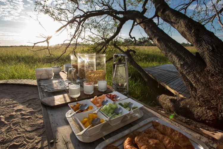 Abu Camp, Okavango Delta, Botswana