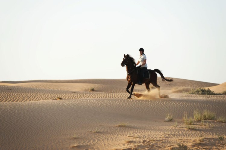 Al Maha Desert Resort Spa 12