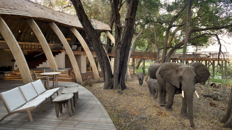 Andbeyond Sandibe Okavango Safari Lodge Elefanten