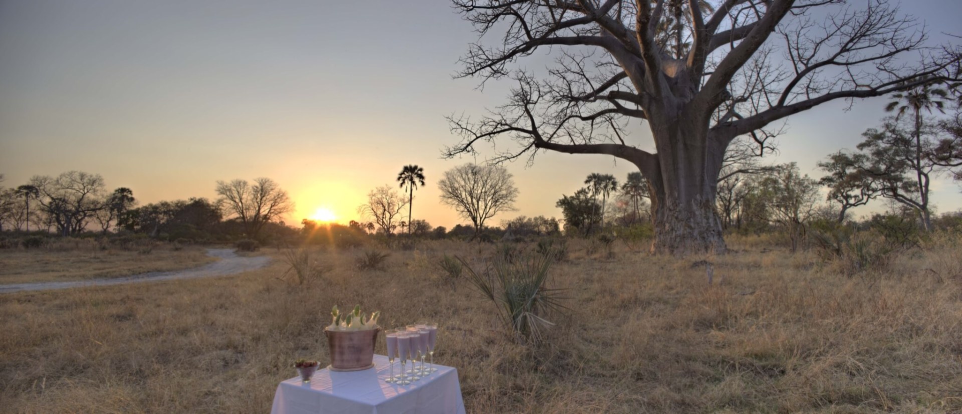 AndBeyond Sandibe Okavango Safari Lodge