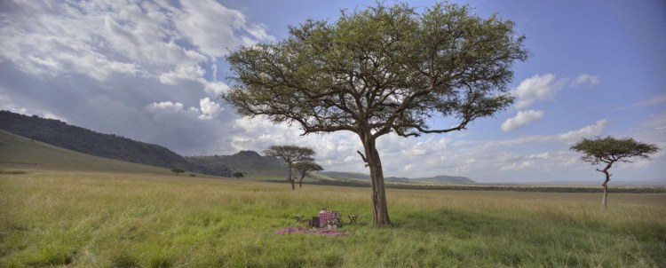Angama Mara Picknick