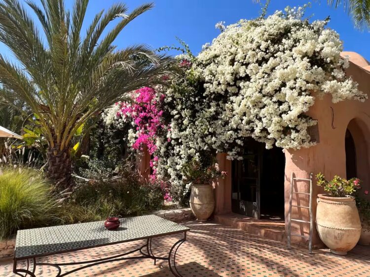 Argent D Argent Luxus Ferienhaus Marokko Mieten Blumen