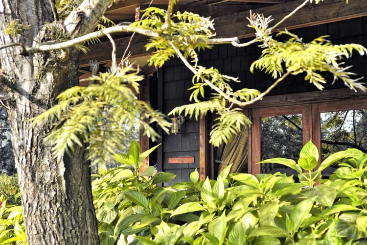 Arusha Coffee Lodge (10)
