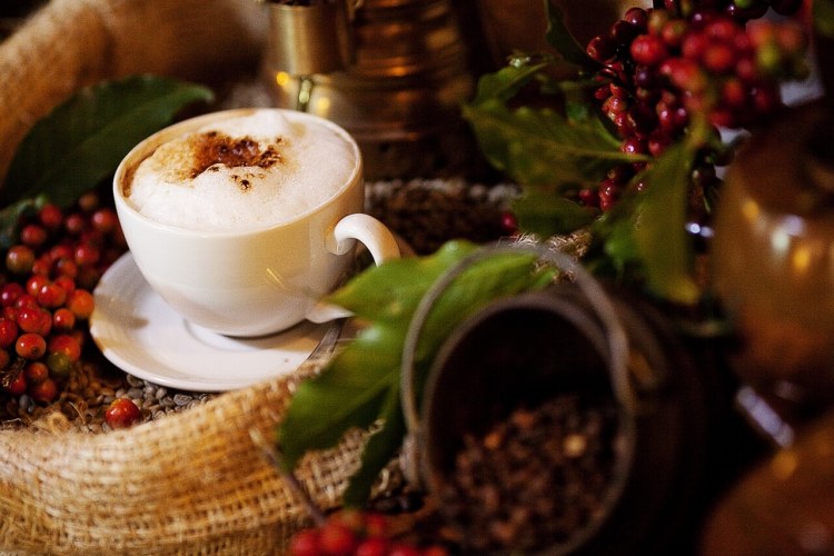 Arusha Coffee Lodge (4)