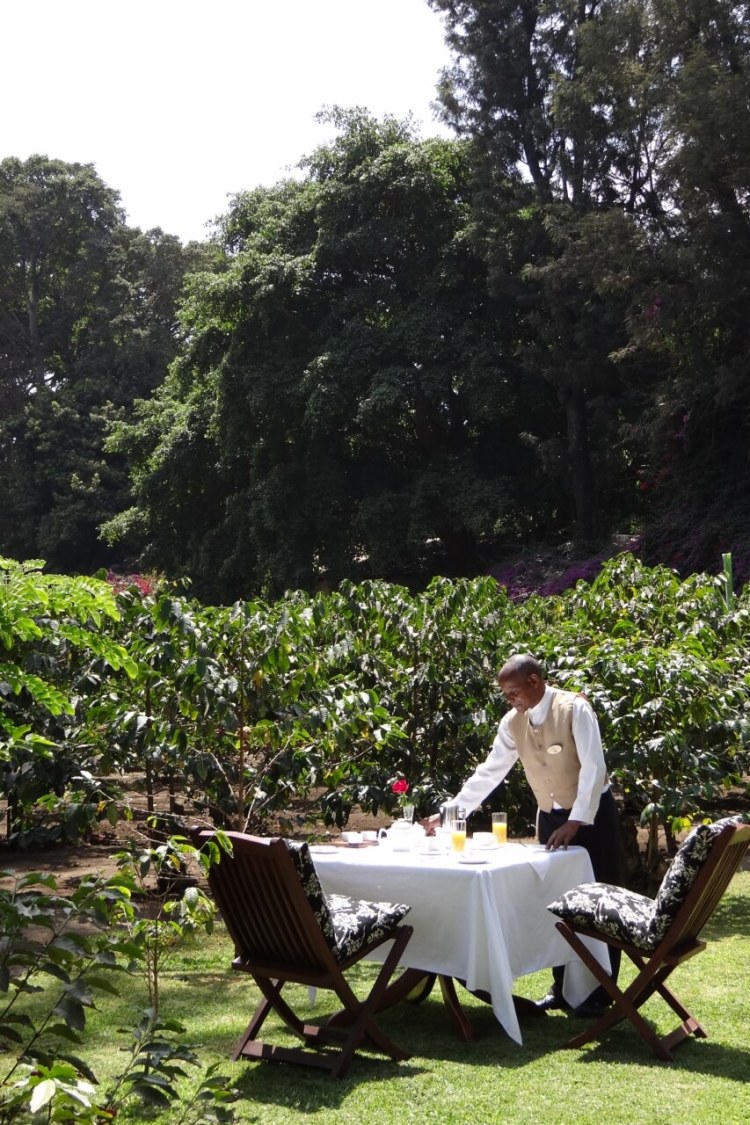 Arusha Coffee Lodge (7)