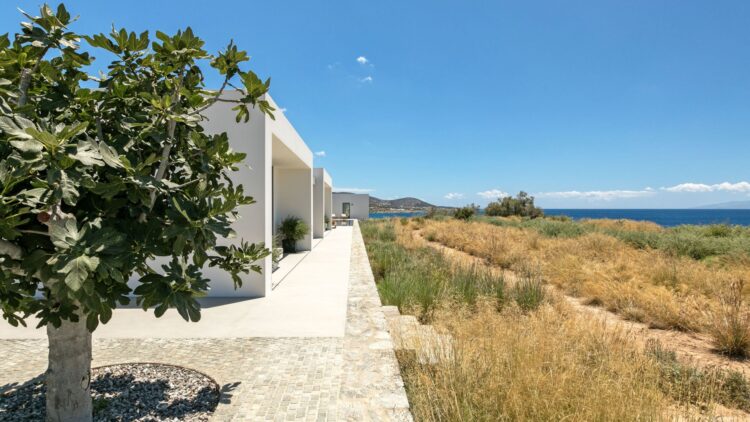 Asterias Two Luxus Ferienhaus Paros Am Meer Mieten Garten