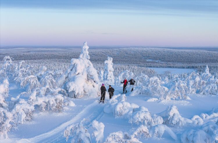 Aurora Hideaway Luxus Lodge Lappland Mieten Aktivitäten