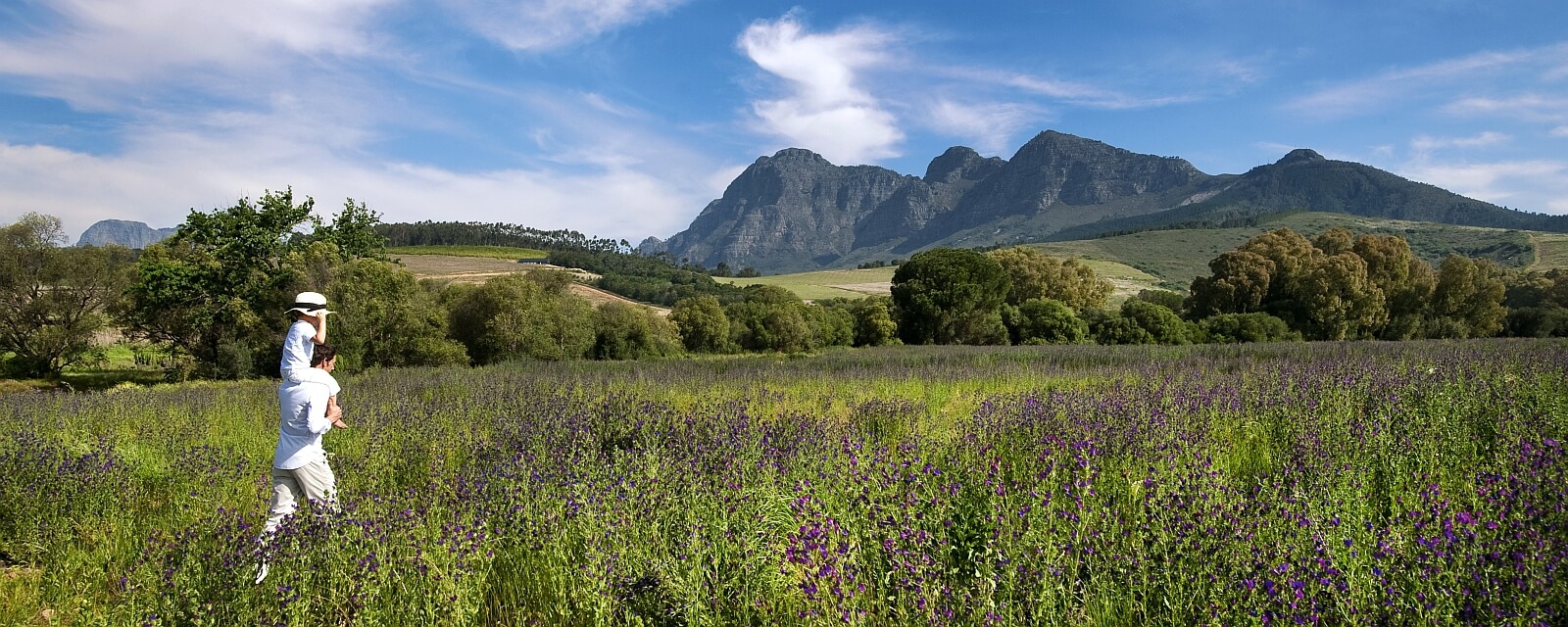 Babylonstoren Farm Hotel Slider 1