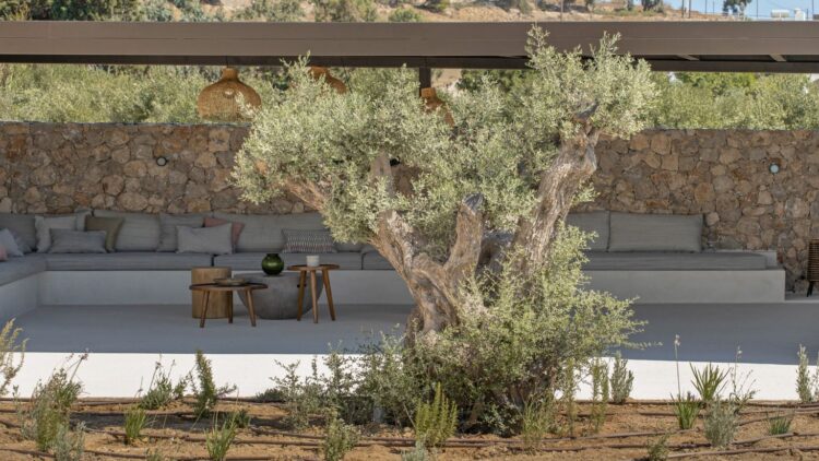 Beach Love Two Luxus Ferienhaus Paros Am Strand Mieten Garten