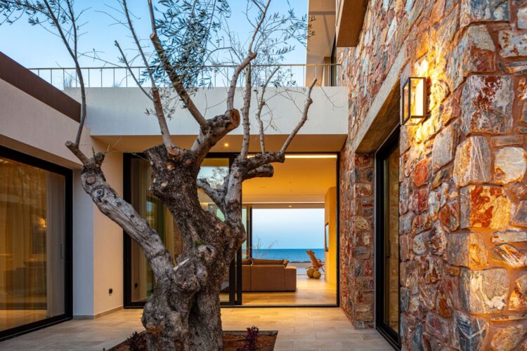 Beachfront Sanctuary Villa Luxus Villa Kreta Mieten Baum