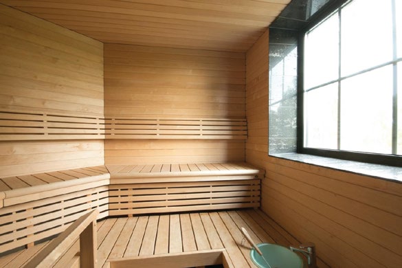 Borealis Lodge Luxus Ferienhaus Chalet Lappland Mieten (9)