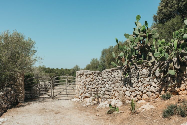 Boutique Villa Menorca Luxus Ferienhaus Mit Pool Mieten Eingang