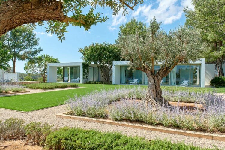 Can Jardin Familien Ferienhaus Auf Ibiza Mieten Außenansicht Mit Gartenjpg