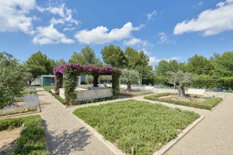 Can Jardin Familien Ferienhaus Auf Ibiza Mieten Garten Mit Pergola Und Olivenbäumen