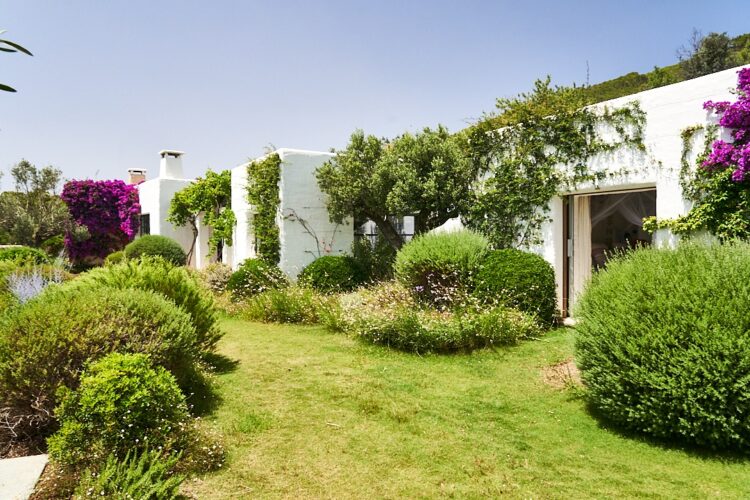 Casa Jumali Ferienvilla Ibiza Mieten Außenansicht Mit Bougainvilleas