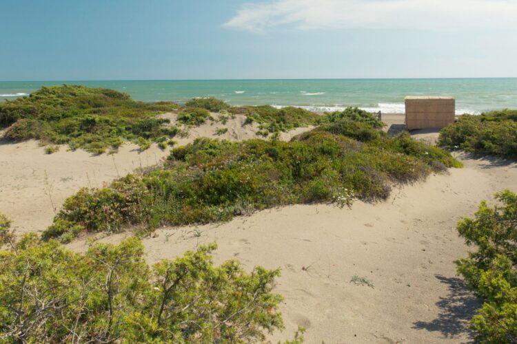 Casa Quercia Luxus Ferienhaus Maremma Italien Mieten Dünen