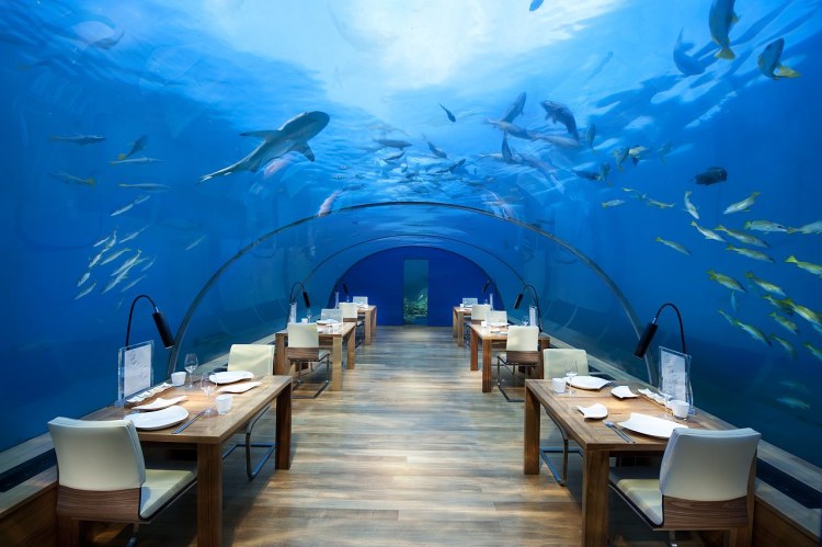 Conrad Maldives Ithaa Undersea Restaurant 3