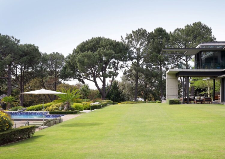 Design Villa Twilight Luxus Ferienhaus Kapstadt Mieten Rasen