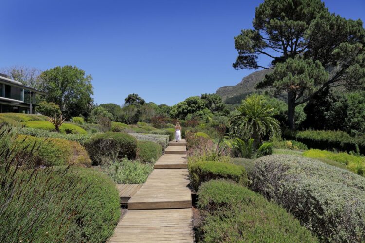 Design Villa Twilight Luxus Ferienvilla Kapstadt Mieten Grün