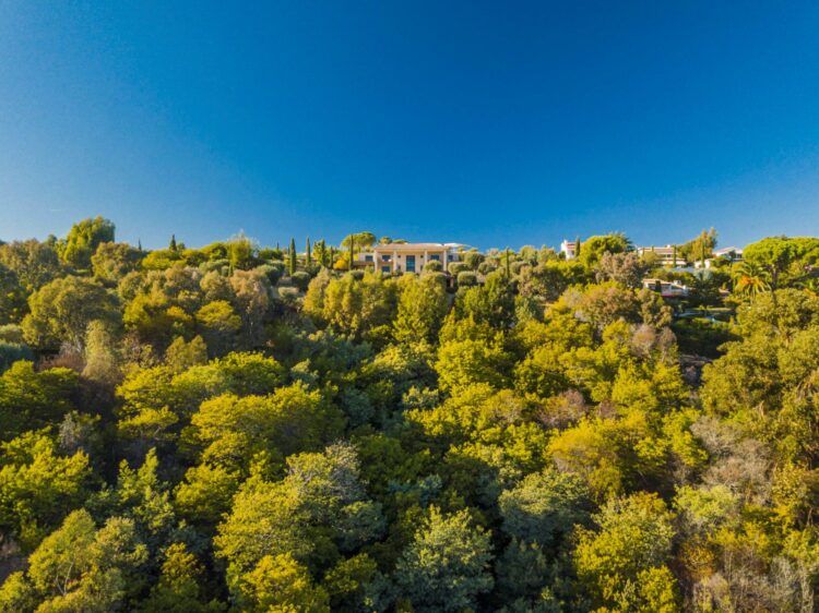 Domaine Sauvage Luxus Ferienhaus Cote D Azur Mieten Lage