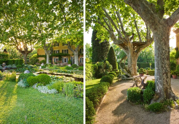 Garden With House Luxus Ferienvilla Provence Mieten Baumhaus