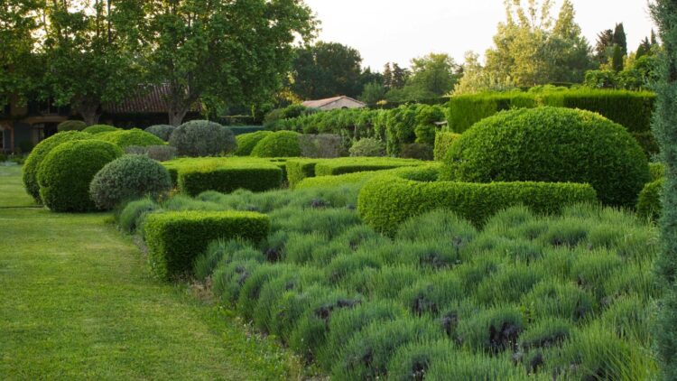 Garden With House Luxus Ferienvilla Provence Mieten Grün