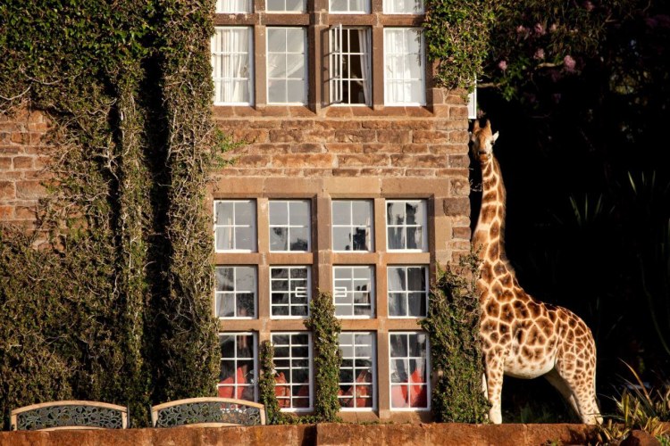 Giraffe Manor