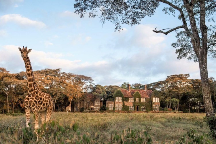 Giraffe Manor Kenia