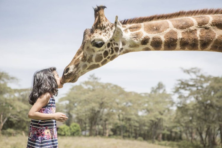 Giraffe Manor Kinder