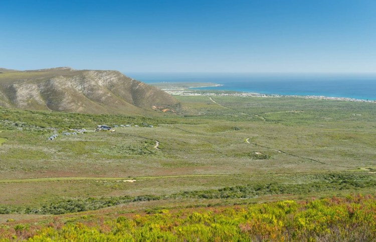 Grootbos Forest Lodge 7