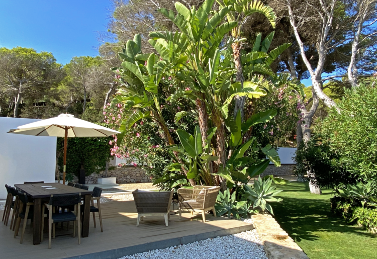 Ibiza Luxusvilla Mieten Cala Llenya