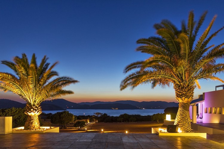 Ibiza Private Island Palmen