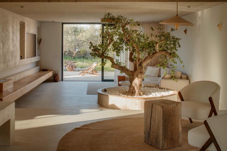 Island Villa Maslina Luxus Ferienhaus Dalmatien Kroatien Miete (44)