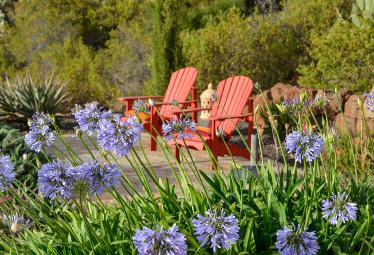 La Casita Luxus Ferienhaus La Palma Kanaren Mit Pool Garten