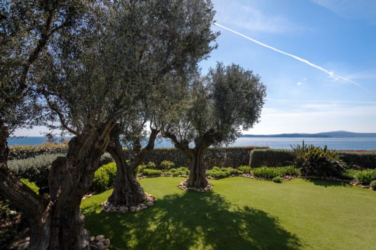 La Colline Blanche Luxus Ferienhaus Cote D Azur Mieten Garten