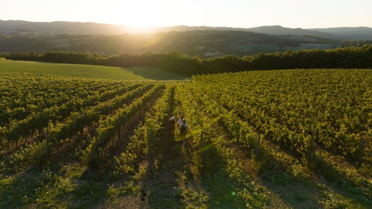 Casa Ginevra Luxus Ferienhaus Umbrien Italien Mieten Ausblick