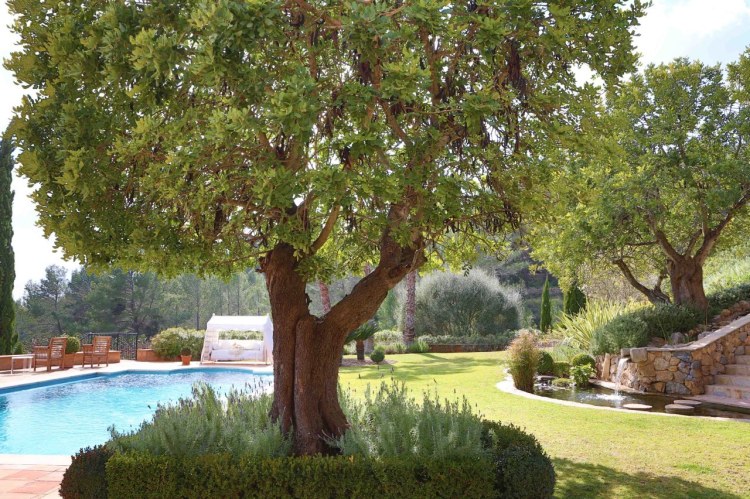 Luxus Ferienhaus Auf Mallorca Mieten - Casa Alaro