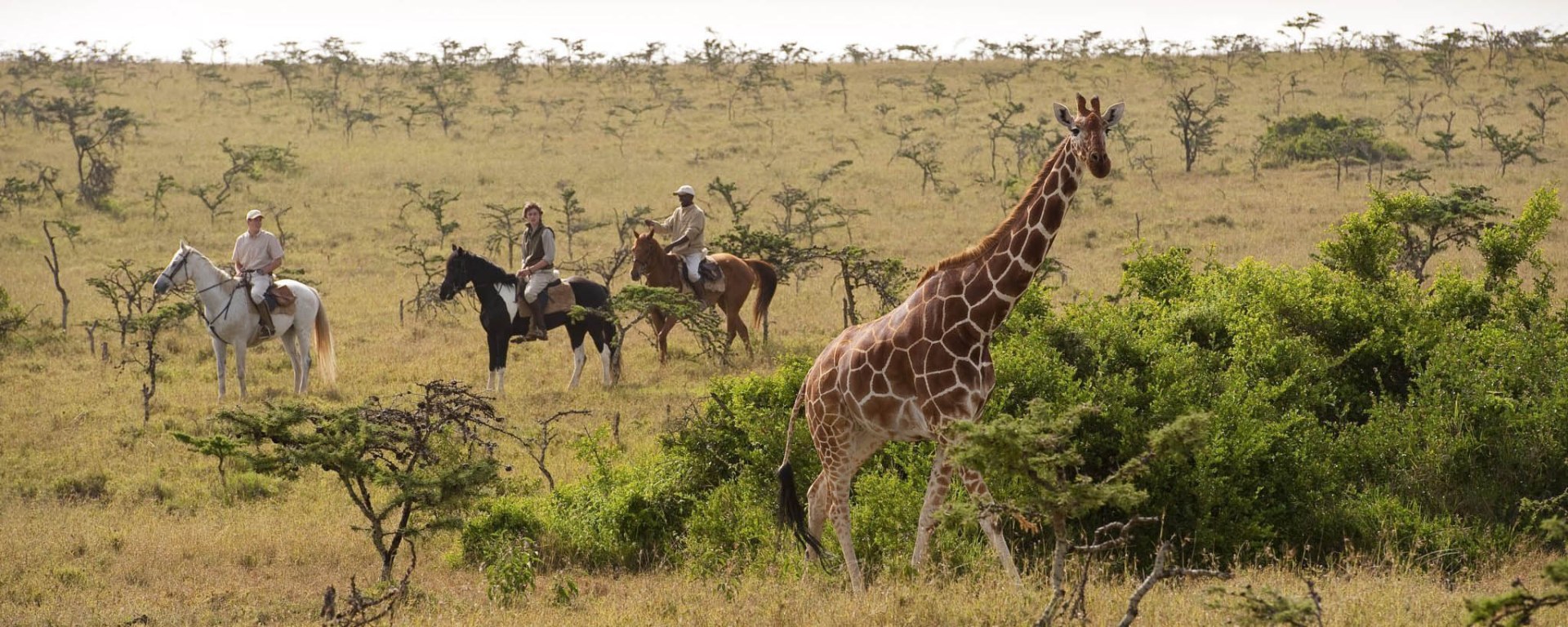 Luxus Safari Villa In Kenia - Sirai House
