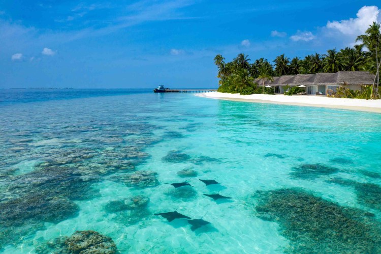 Luxusresort Malediven Buchen Baglioni Resort Maldives