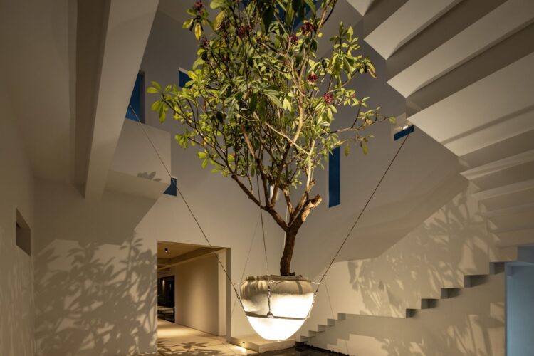 Mandala Oasis Canggu Bali – Eingang Mit Frangipani Treppe Und Brutalismus Design