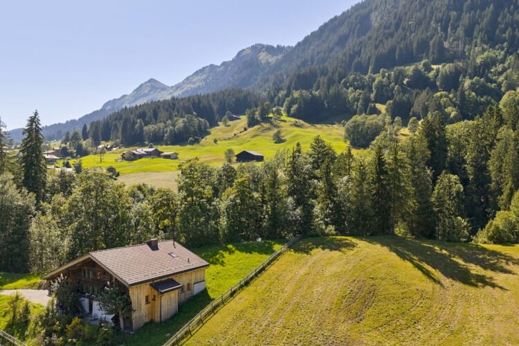 Mountain Chalet Gstaad Luxus Ferienhaus Schweiz Mieten Umgebung