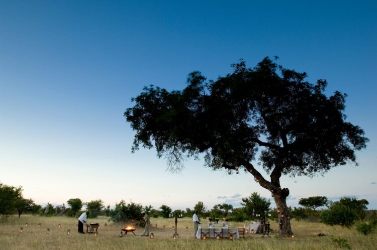 Ngala Family Villa Safari Lodge Südafrika Mieten Bush Dining