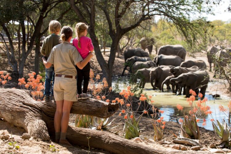 Ngala Family Villa Safari Lodge Südafrika Mieten Family