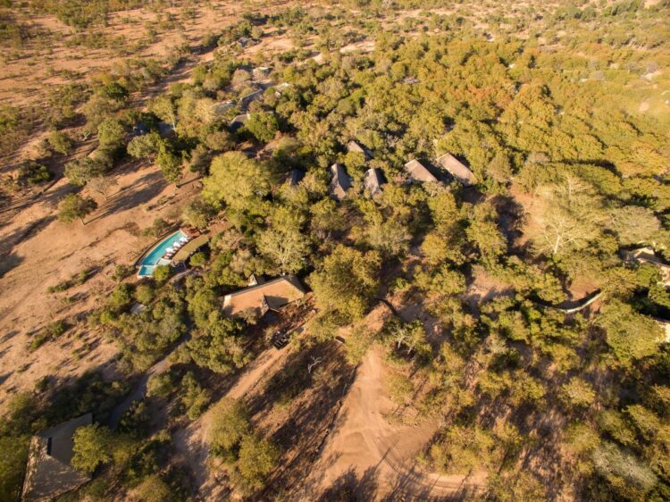 Ngala Family Villa Safari Lodge Südafrika Mieten Lodge
