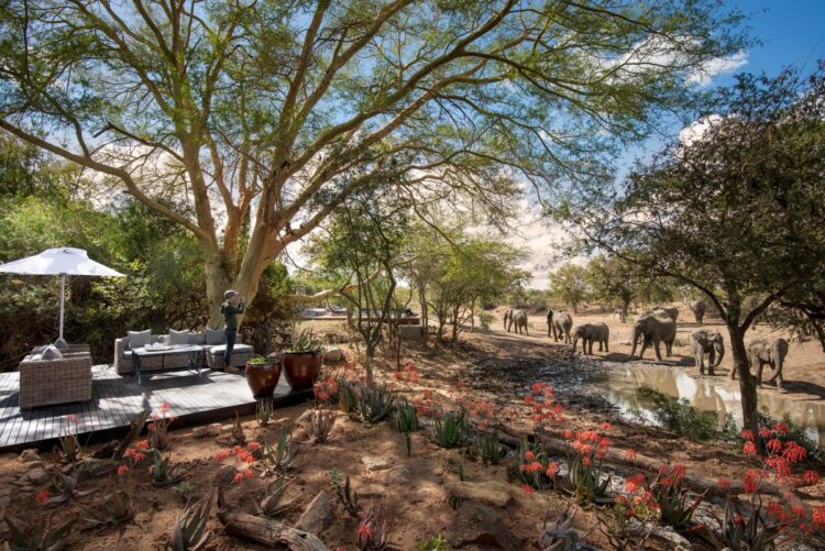 Ngala Family Villa Safari Lodge Südafrika Mieten Wasserloch