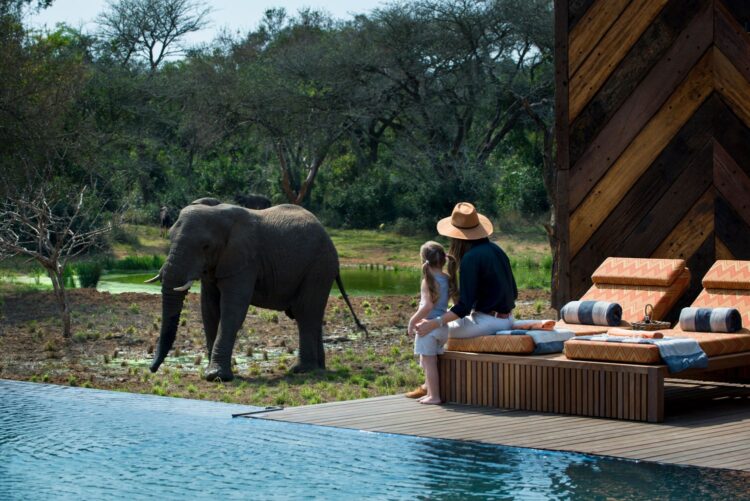 Phinda Homestead Luxus Safari Villa Südafrika Pool