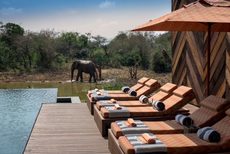 Phinda Homestead Luxus Safari Villa Südafrika Poolarea
